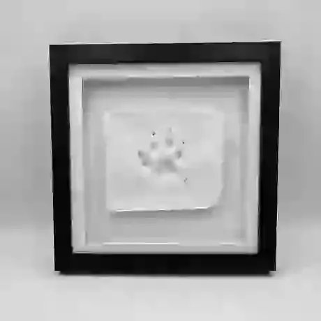 Clay Paw Print in Frame